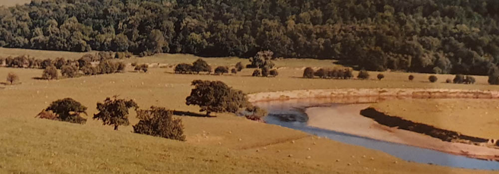 A Tough Webb website image