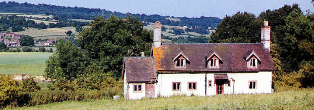 A Tough Webb website image